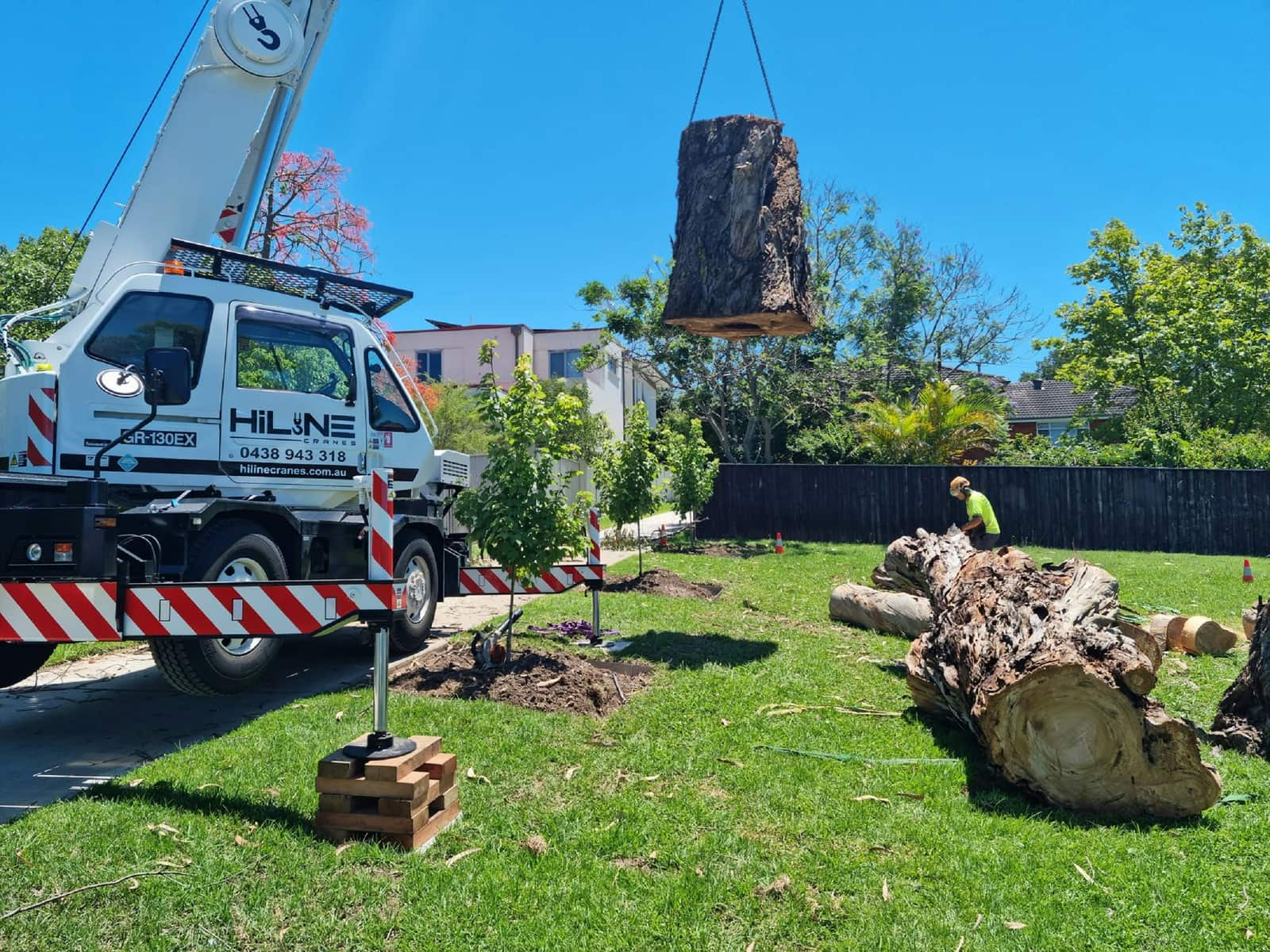 Tree Lightning Protection